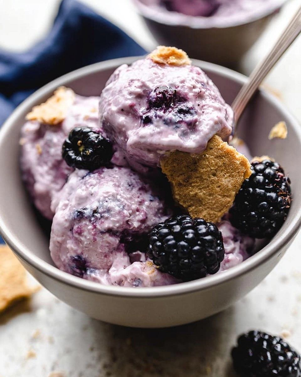 Blackberry Cheesecake Cottage Cheese Ice Cream