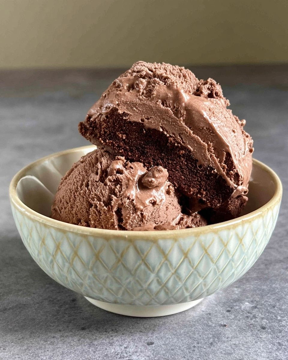 Chocolate Cake Chocolate Ice Cream