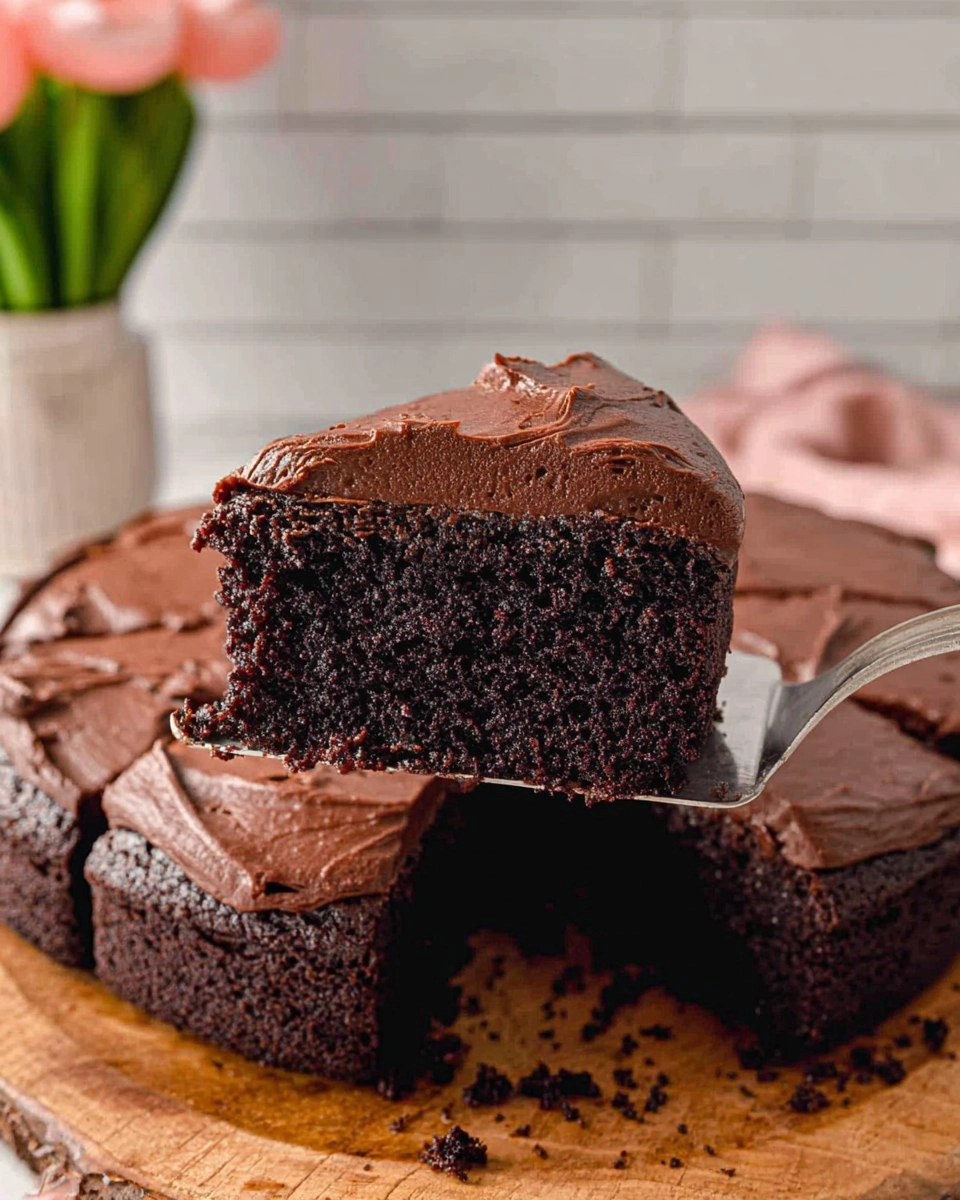 Chocolate Zucchini Cake