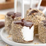 Smores Marshmallow Pops 81 Smores-Marshmallow-Pops-Recipe